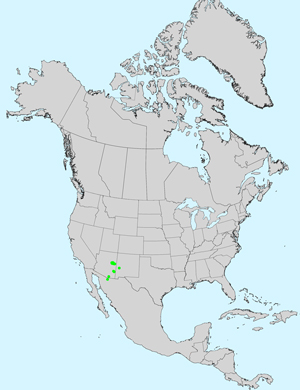 North America species range map for Cirsium grahamii: Click on image for full size map. North America species range map for Cirsium grahamii: Click on image for full size map.